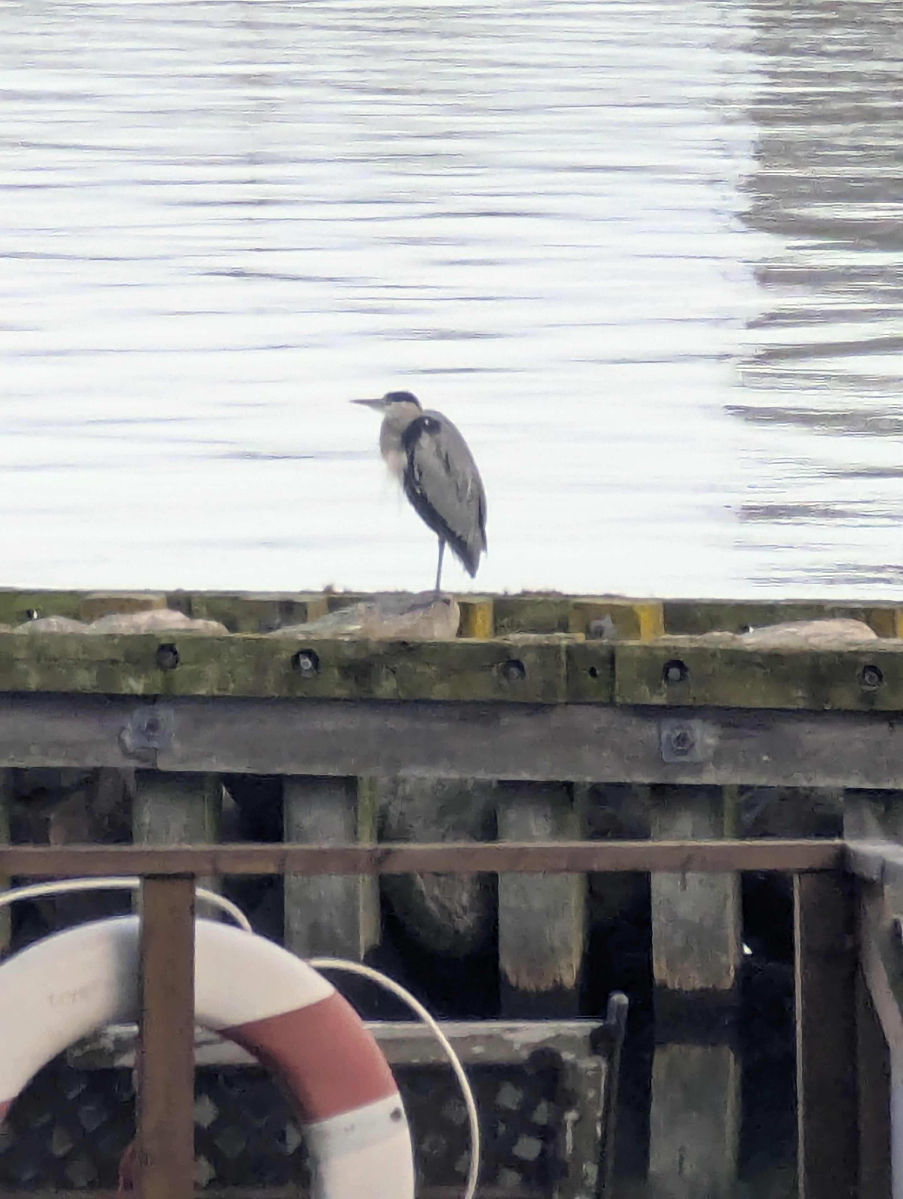 Copenhagen, Scandic Hotel